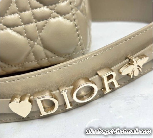 Shop Duplicate Dior Small Lady Dior My ABCDior Bag in Cannage Lambskin with Bow Apricot Grey 2026 D6604
