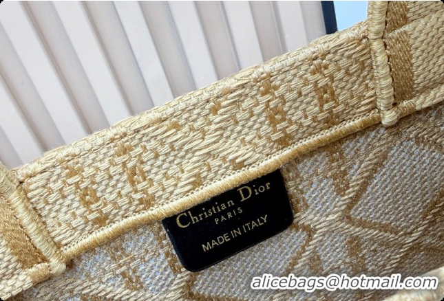 Fashion Dior Men's Small Book Tote Bag in Cannage Embroidery and Bees Gold-Tone 0408118 2026