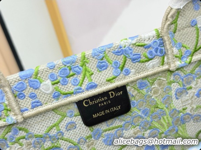 Low Cost Dior Men's Large Book Tote Bag in Multicolor Blue of the Valley Embroidery with Dior Médaillon 0408119 2026