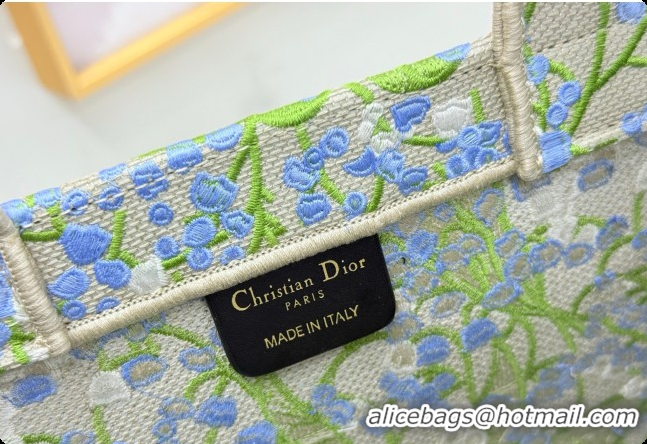 Trendy Design Dior Men's Medium Book Tote Bag in Multicolor Blue of the Valley Embroidery with Dior Médaillon 0408120 20
