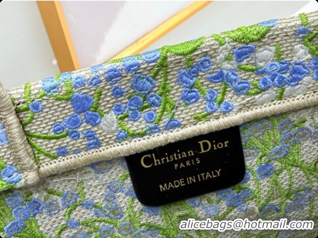 Best Product Dior Men's Small Book Tote Bag in Multicolor Blue of the Valley Embroidery with Dior Médaillon 0408121 2026