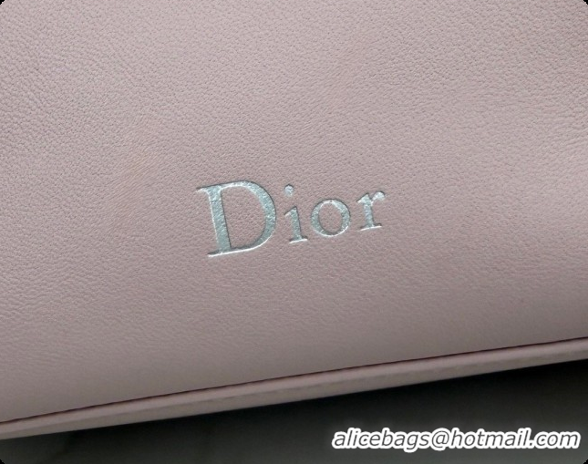 Good Taste Dior Bow Pouch Bag in Lambskin Leather S3900 Pink 2026