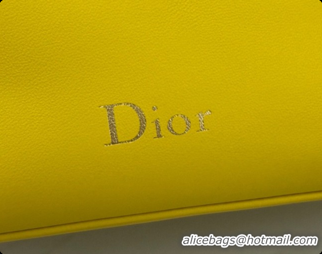 Unique Style Dior Bow Pouch Bag in Lambskin Leather S3900 Yellow 2026
