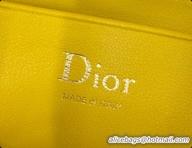 Unique Style Dior Bow Pouch Bag in Lambskin Leather S3900 Yellow 2026