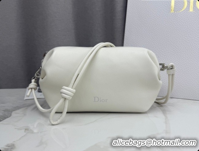 Popular Style Dior Bow Pouch Bag in Lambskin Leather S3900 White 2026