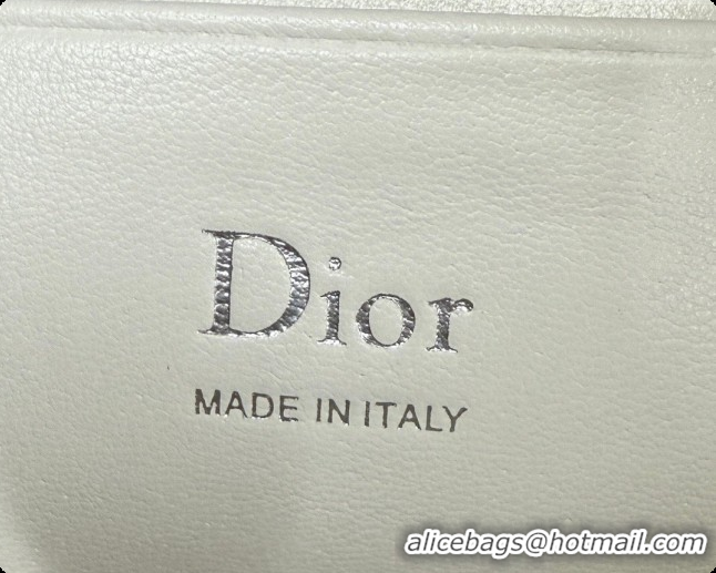 Popular Style Dior Bow Pouch Bag in Lambskin Leather S3900 White 2026