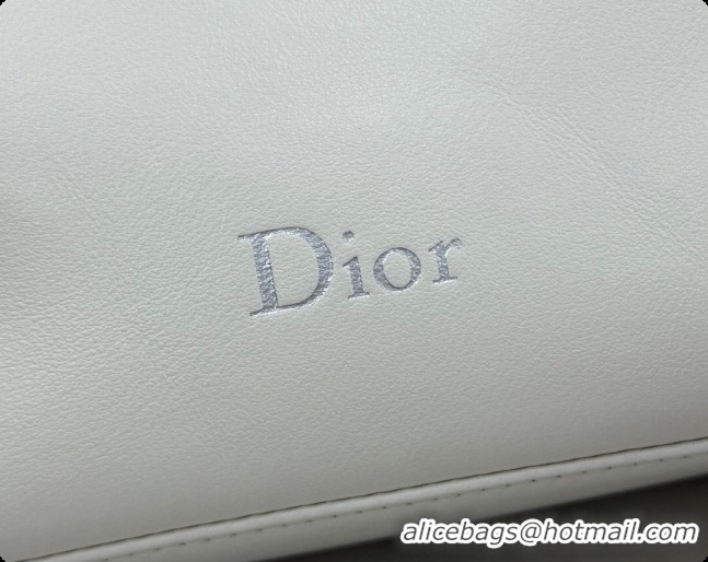 Popular Style Dior Bow Pouch Bag in Lambskin Leather S3900 White 2026