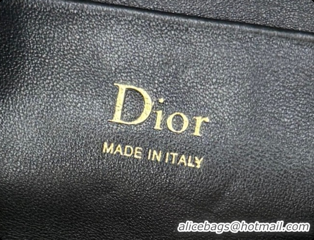 Unique Grade Dior Bow Pouch Bag in Lambskin Leather S3900 Black 2026
