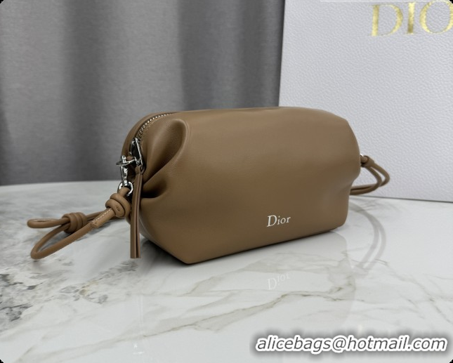 Luxury Cheap Dior Bow Pouch Bag in Lambskin Leather S3900 Brown 2026