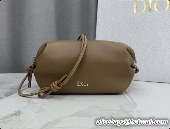 Luxury Cheap Dior Bow Pouch Bag in Lambskin Leather S3900 Brown 2026