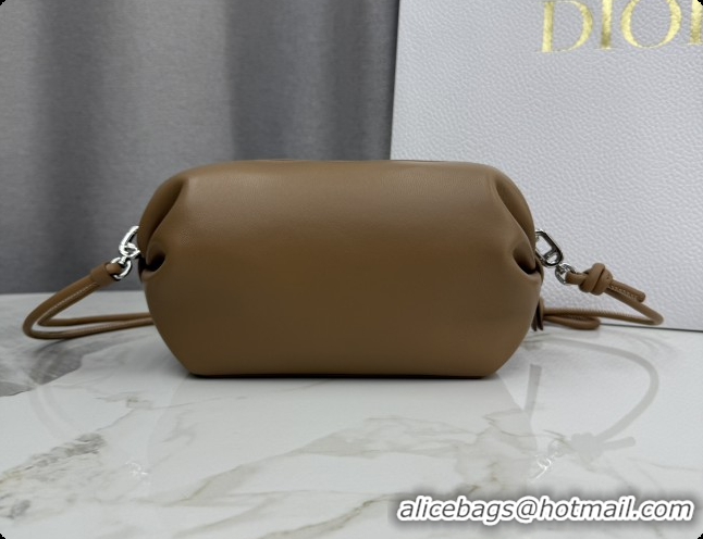 Luxury Cheap Dior Bow Pouch Bag in Lambskin Leather S3900 Brown 2026