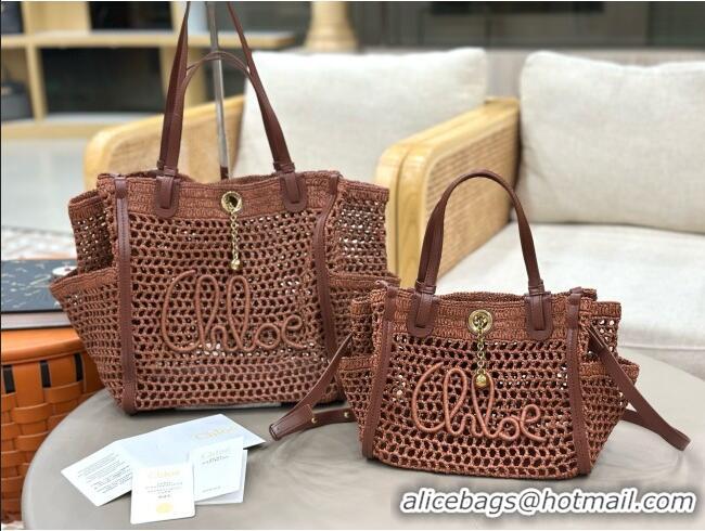 Fashion Cheap Chloe Small Chloé Iconic Double Carry Bag in Raffia 0228 Brown 2026