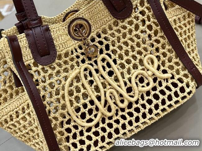 Top Quality Chloe Small Chloé Iconic Double Carry Bag in Raffia 0228 Beige 2026
