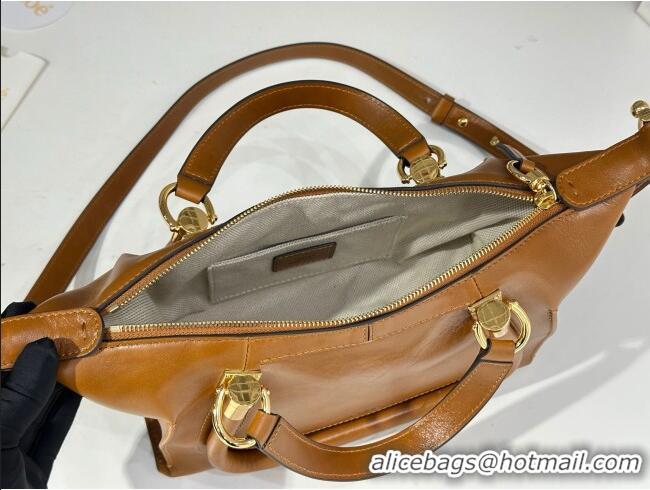 Most Popular Chloe Shiny Leather Paraty Bag W0324 Brown 2026
