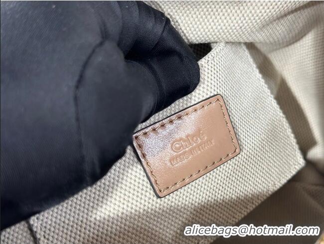 Market Sells Chloe Shiny Leather Paraty Bag W0324 Beige 2026