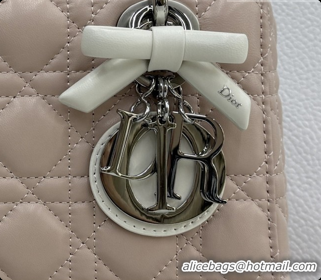 Cheap Price Dior Small Lady Bag in Cannage Lambskin with Bow M0538 Soft Pink/White 2026