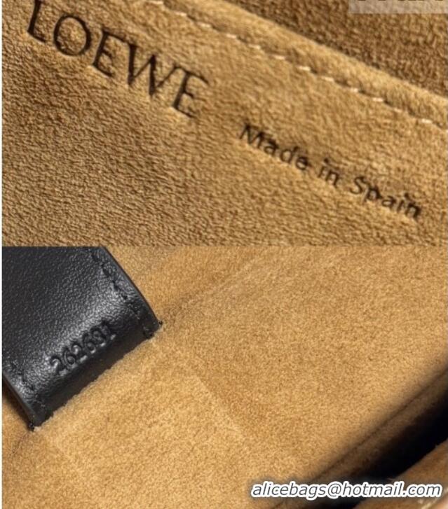 Hot Style Loewe Small Amazona 180 bag in soft calfskin 262552 Black 2026