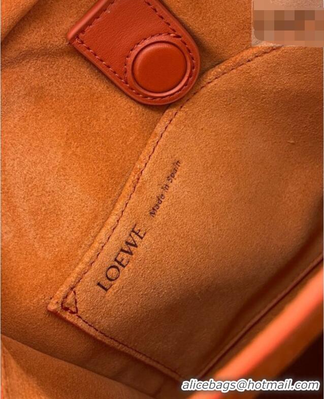 Inexpensive Loewe Small Amazona 180 Bag in Soft Calfskin Sunrise 81002 Orange 2026