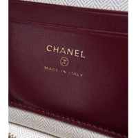 Buy Fashionable Chanel Large Vanity with chain/grained calfskin AP5347 Grey 2026