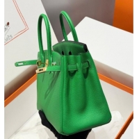 Best Price Hermes Birkin Bag 25cm in Togo Leather 0414 1K Bamboo Green 2026