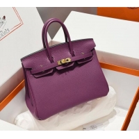 Hot Style Hermes Birkin Bag 25cm in Togo Leather 0414 P9 Anemone Purple 2026