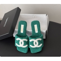 Good Quality Chanel Fluffy Flat Slide Sandals CH091015 Green 2026