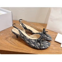 Best Price Dior Bow Heeled Slingback Sandal in Dior Oblique Embroidered Cotton D091035 2026