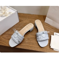 Inexpensive Dior Cannage Heeled Slide in Black Quilted Cannage Lambskin 3.5cm Heel Blue Grey 6091115 2026