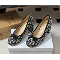 Unique Style Dior Ballet Pumps in Dior Oblique Motif 8cm Heel D091159 2026