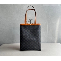 Well Crafted Celine Medium Flat Shopper Bag in Triomphe Canvas and Calfskin 123832 2026
