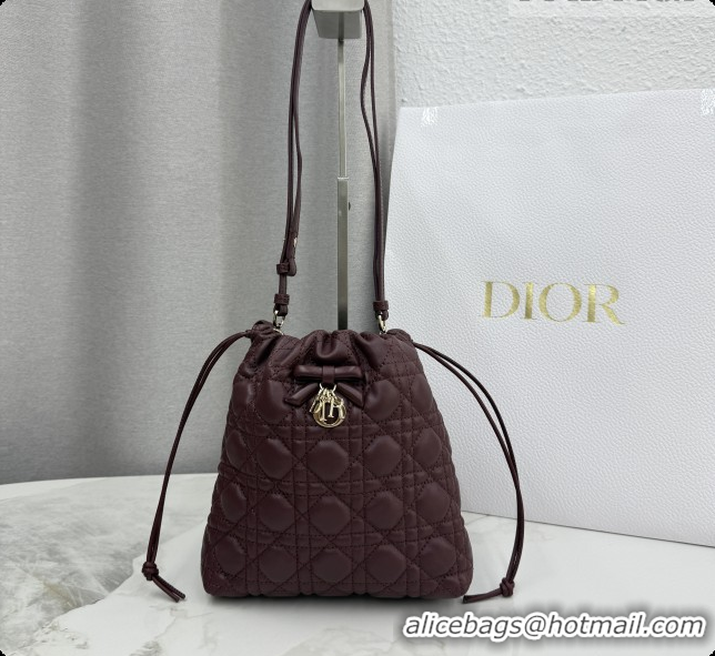 Classic Practical Dior Adiorable Mini Bucket Bag in Cannage Lambskin S2611 Burgundy 2026