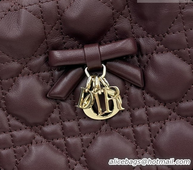 Classic Practical Dior Adiorable Mini Bucket Bag in Cannage Lambskin S2611 Burgundy 2026