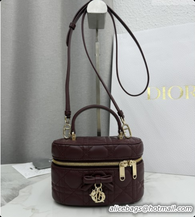 Affordable Price Dior Mini Vanity Bag in Cannage Lambskin S2603 Dark Burgundy 2026