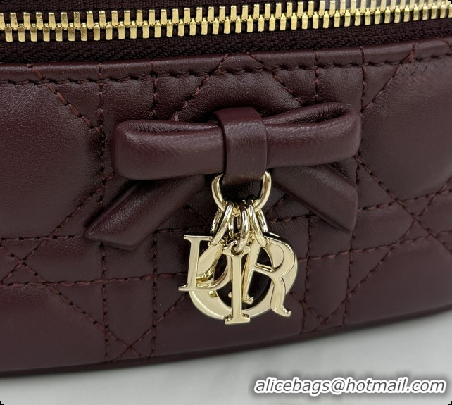 Affordable Price Dior Mini Vanity Bag in Cannage Lambskin S2603 Dark Burgundy 2026