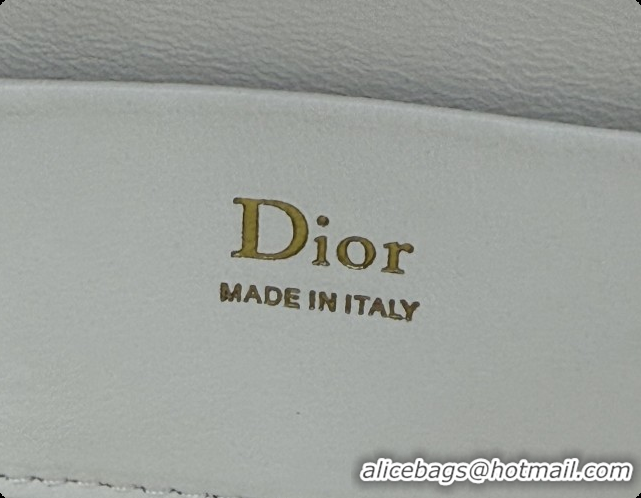 Unique Grade Dior Mini Vanity Bag in Cannage Lambskin S2603 White 2026