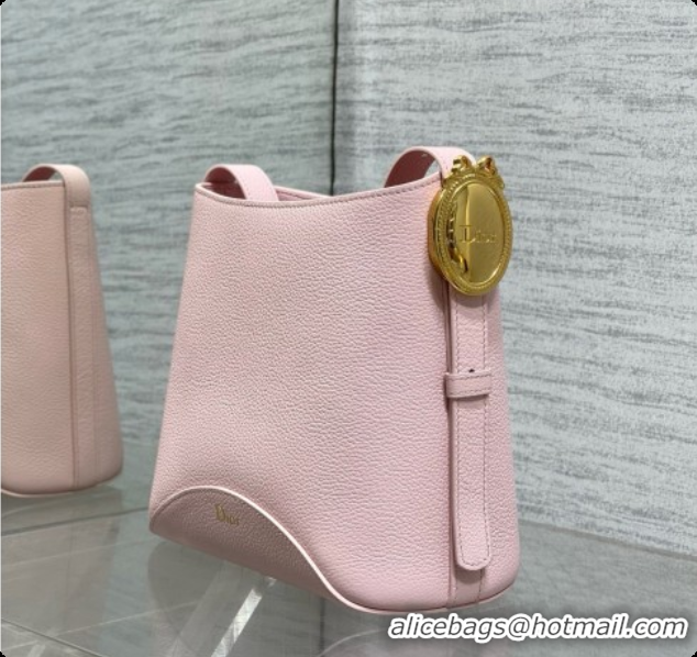 Grade Quality Dior Small Dior Médaillon Bucket Bag in Pink Grained Calfskin 6072556 2026