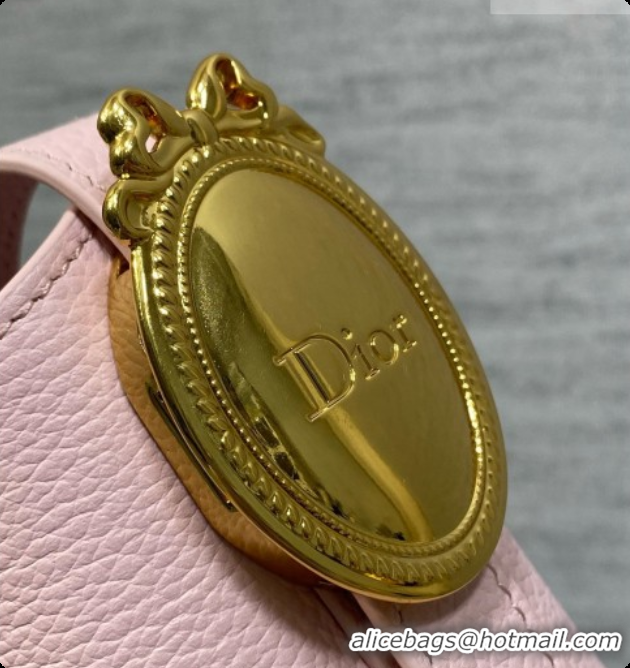 Grade Quality Dior Small Dior Médaillon Bucket Bag in Pink Grained Calfskin 6072556 2026