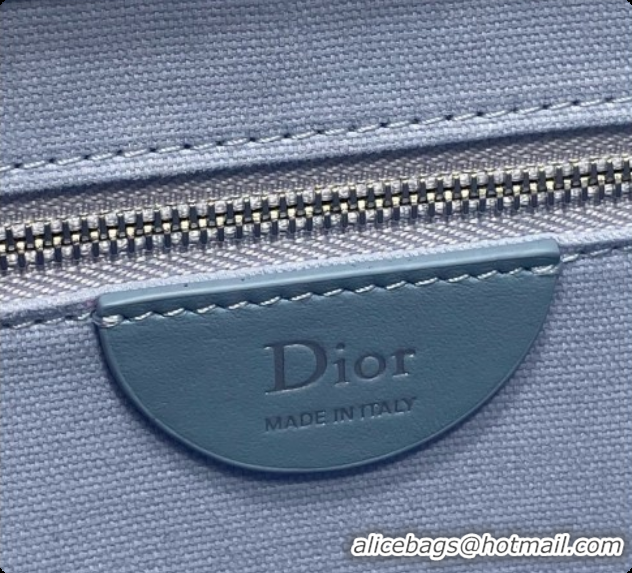 Good Quality Dior Medium Dior Book Tote with Strap in Blue Dior Oblique Jacquard and Dior Médaillon 6090242 2026