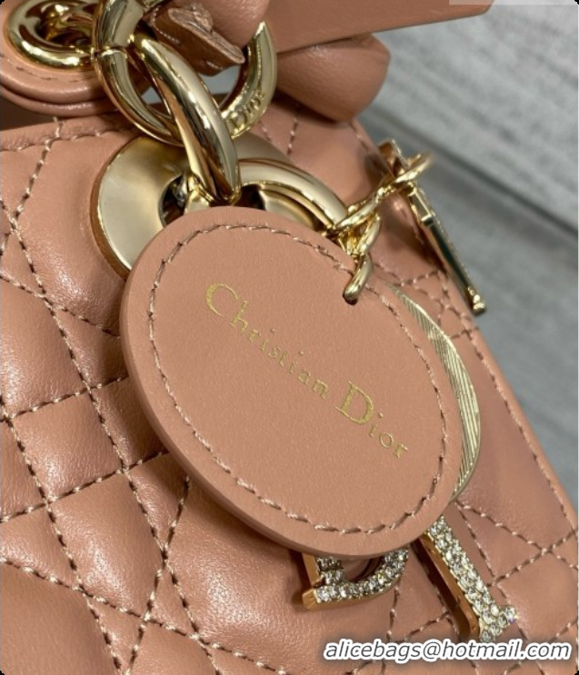 Good Quality Dior Mini Lady Dior Bag in Cannage Lambskin with Bow D090257 Dark Pink 2026