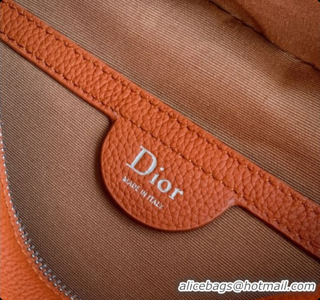 Top Grade Dior Archie Zipped Bag with Strap Black Grained Calfskin D090325 Brown 2026