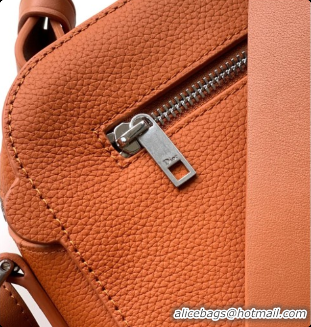 Top Grade Dior Archie Zipped Bag with Strap Black Grained Calfskin D090325 Brown 2026