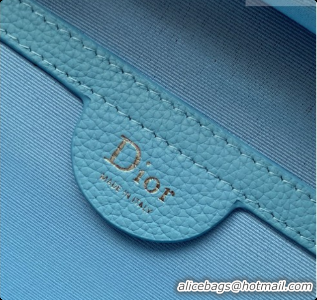 Top Design Dior Archie Zipped Bag with Strap Black Grained Calfskin D090325 Blue 2026