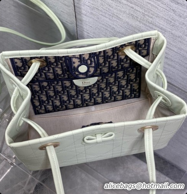 Top Quality Dior Qixi Small Dior Promenade Shopping Bag in Vanilla Flat Cannage Calfskin D090333 White 2026