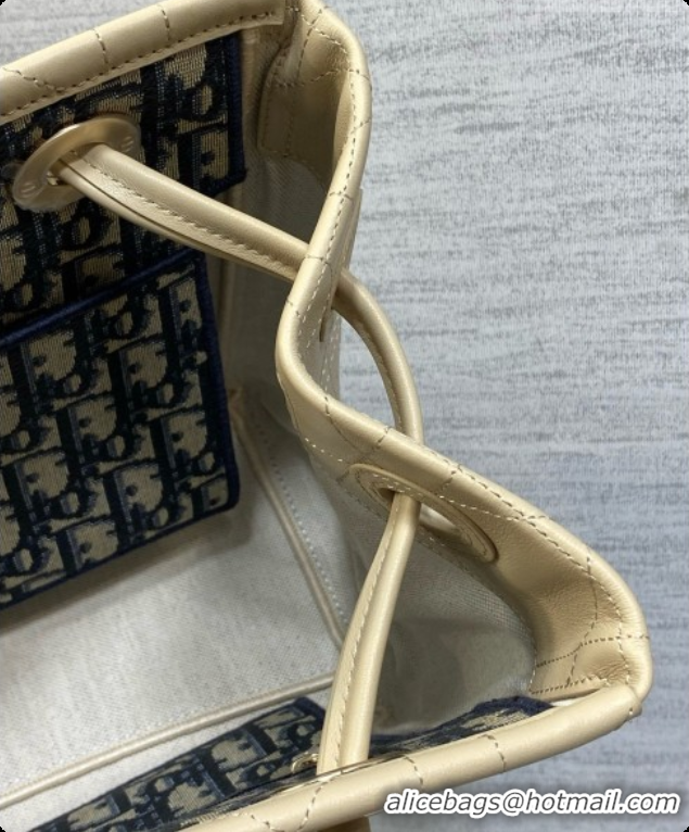 Most Popular Dior Qixi Small Dior Promenade Shopping Bag in Vanilla Flat Cannage Calfskin D090334 Beige 2026