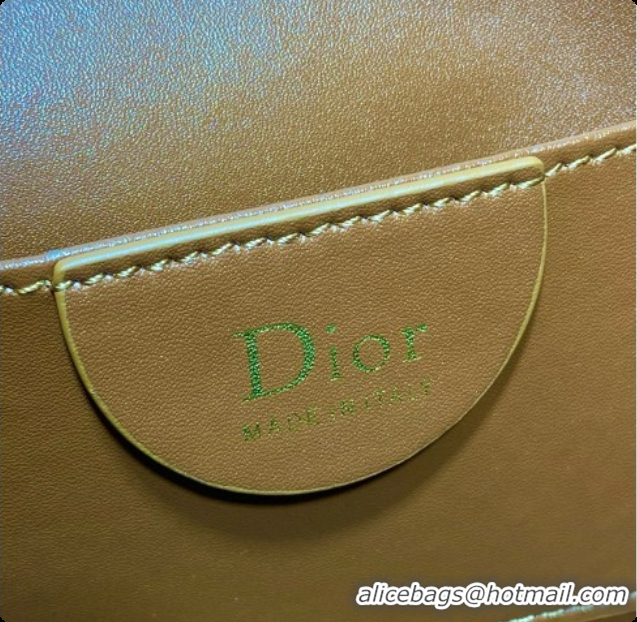 Grade Dior Mini Dior Toujours Hobo Bag in Cannage Suede D090352 Brown 2026