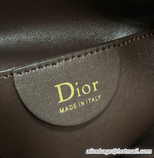 Good Looking Dior Mini Dior Toujours Hobo Bag in Cannage Suede D090354 Dark Brown 2026