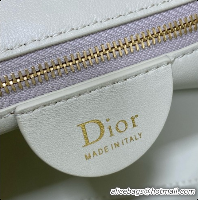 Purchase Dior Small Dior Toujours Hobo Bag in Cannage Lambskin D090365 Light Green 2026