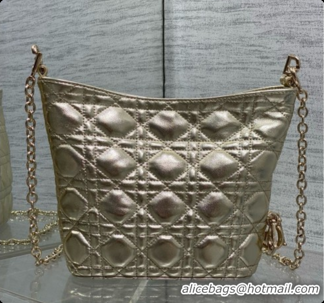 Sumptuous Dior Mini Dior Toujours Hobo Bag in Cannage Lambskin D090376 Yellow Gold 2026
