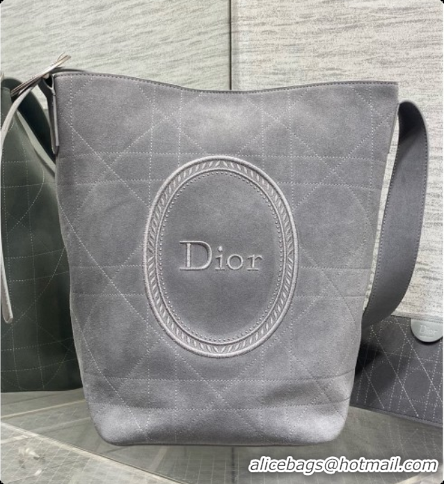 Luxury Dior Jett Médaillon Bucket Bag in Cannage Suede Calfskin Grey 2026 6090436