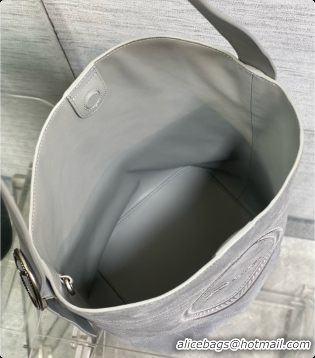 Luxury Dior Jett Médaillon Bucket Bag in Cannage Suede Calfskin Grey 2026 6090436